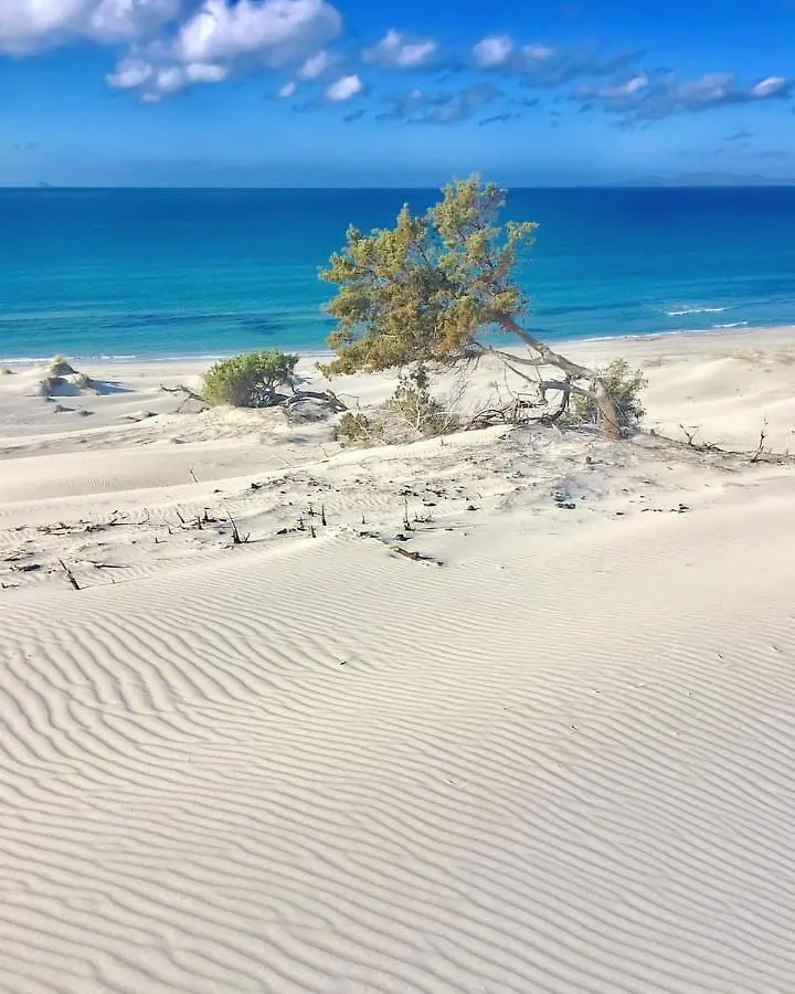 Case Vacanze Il Sogno 2 Porto Pino Hébergement de vacances